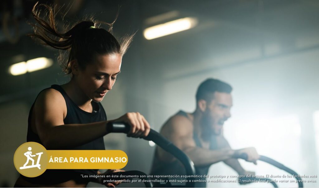 amenidades-puerta-nueva-gimnasio